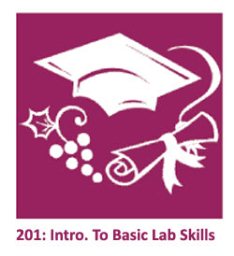 Education - Intro to Basic Lab 201